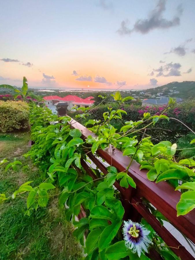 Holiday Home Belvedere Dickenson Bay Extérieur photo