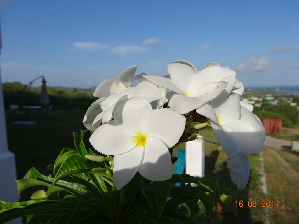 Holiday Home Belvedere Dickenson Bay Extérieur photo