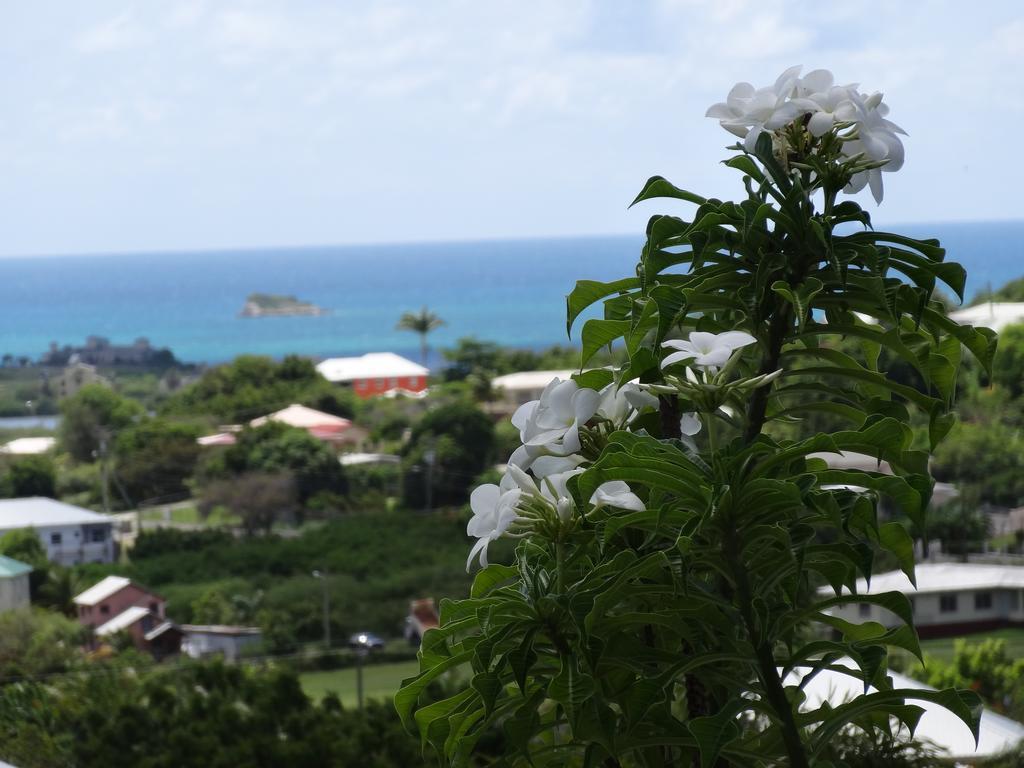 Holiday Home Belvedere Dickenson Bay Extérieur photo